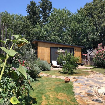 费特希耶Tiny House Kayakoey Nar别墅 外观 照片